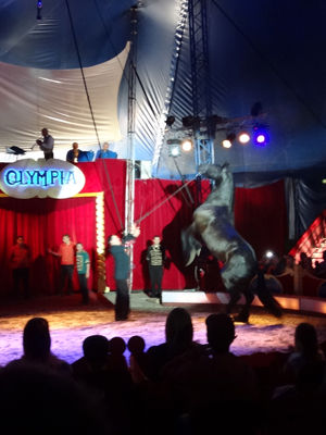 140602cirkus5