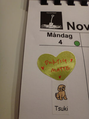 131113matte
