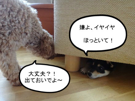 BlogPaint