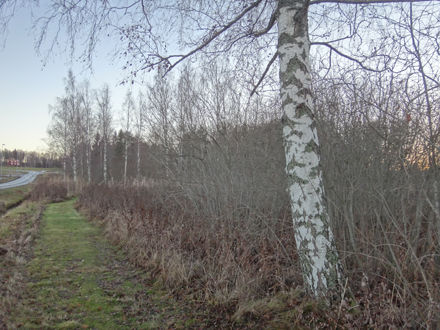 131113promenad5
