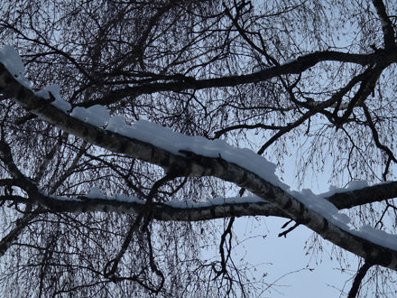 140120promenad3