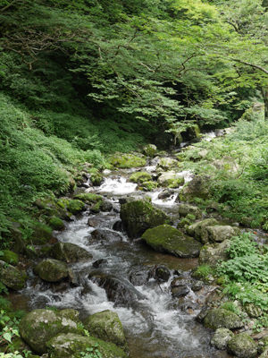 140711vattenfall5