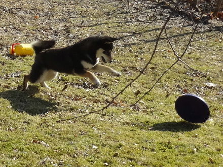 130409Tsuki