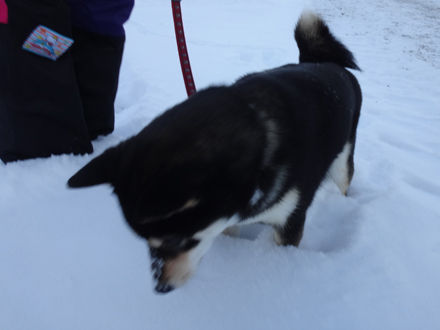 140120promenad4