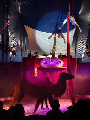 140602cirkus7
