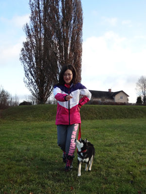 131123promenad9