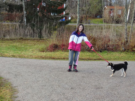 131123promenad2