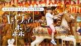 ルスツ観覧車