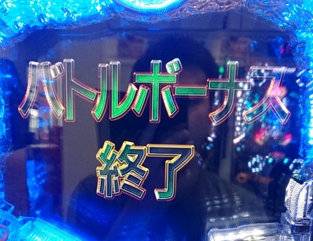 DSC_0271 (494x640)