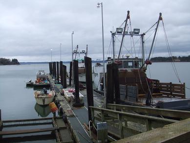 WILLAPA BAY 2