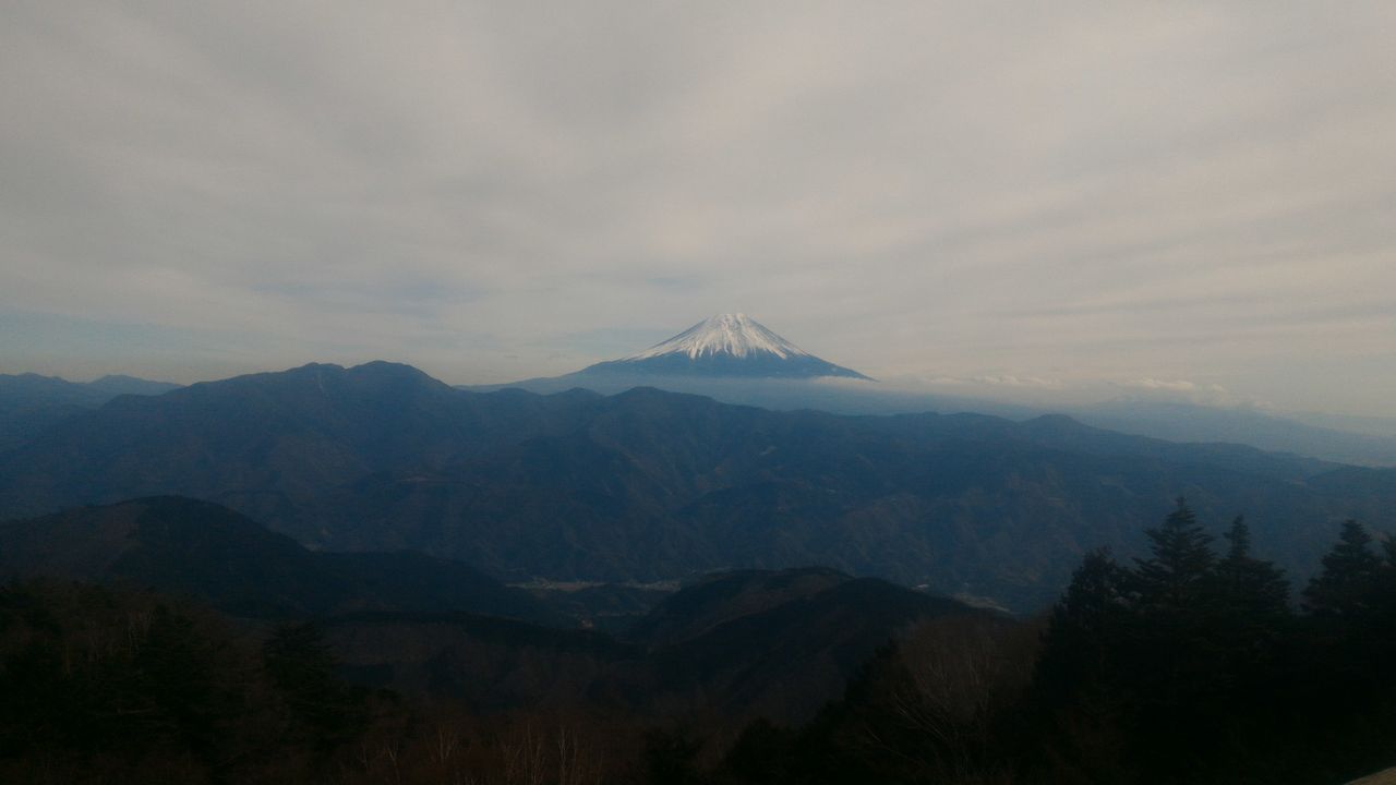 P_20151129_113316