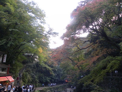 DSCN0640