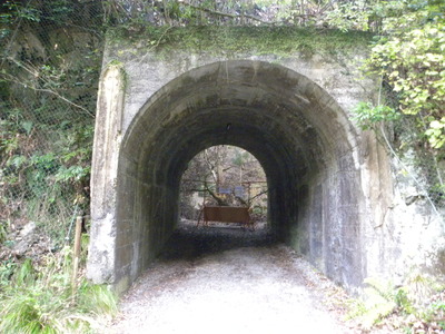 DSCN0656