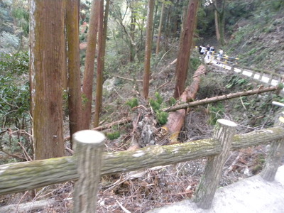 DSCN0651