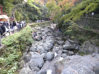 DSCN0639