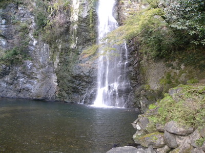 DSCN0642