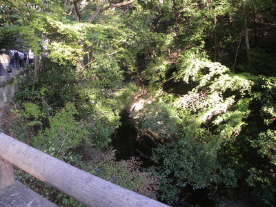 DSCN0619