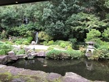 IMG_0718
