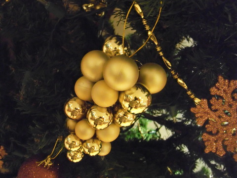 DSCF6838
