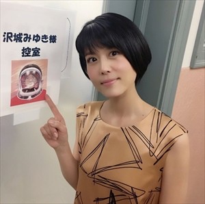 この役こそ沢城みゆきちの真骨頂と思えるキャラは?
