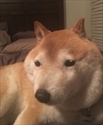 wUGnTUJ_R