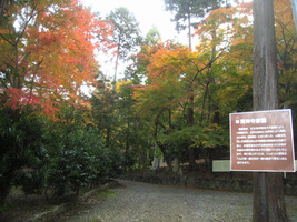 青岸寺_参道入口