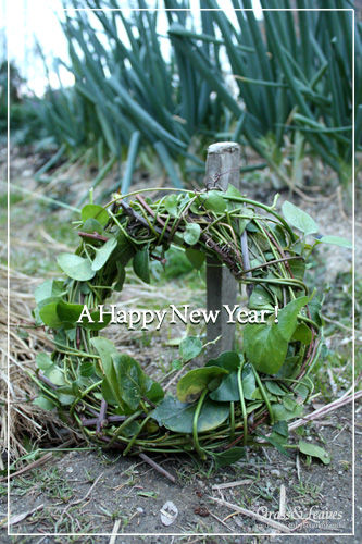 HappyNY_ツルニチニチソウのリース