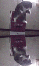 7885edb5