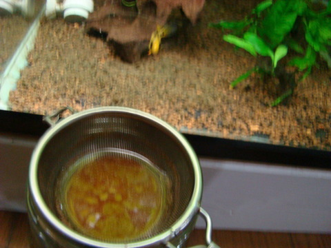 DSC09959