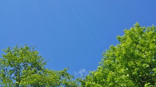 6月の快晴