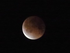 R0046861_皆既月食_20111211_0001