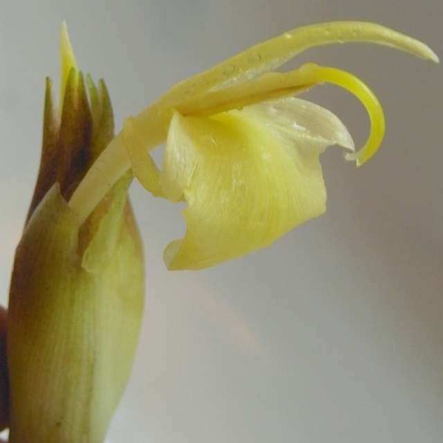 R0019385_謲٤β�_20090725