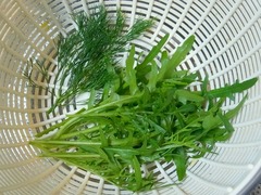 R0043132_�ǥ���ȥ���Х��������_20110618