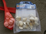 R0014954_�դˤ�ˤ��ε庬