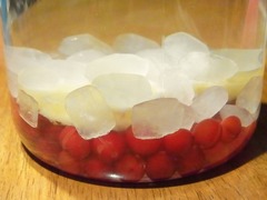 R0043768_一重庭桜チェリー酒を仕込む_20110710