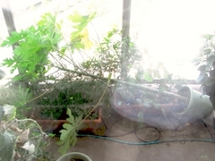 R0010996_�ѥѥ����١�ž��