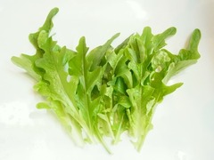 R0047662_�꡼�ե쥿������_20120122