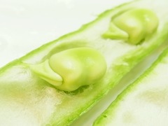 R0049416_����ޥ�_20120503