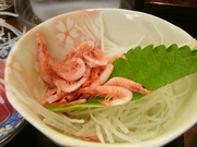 R0017714_ͳ�椵���鲰�Τ�Ǻ�����_20090516
