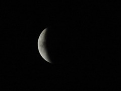 R0046886_皆既月食_20111211_0021