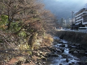 R0013817_Ȣ���ǰ��Ƥ���