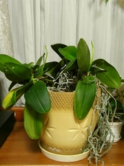 R0012708_��ĳ��������