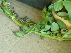 R0048685_����ޥ�˽���ﳲ_20120401