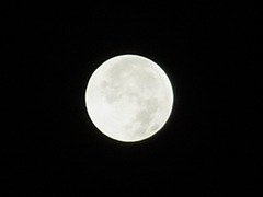 R0046916_皆既月食_20111211_0202