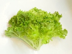 R0041102_エンダイブ収穫_20110327