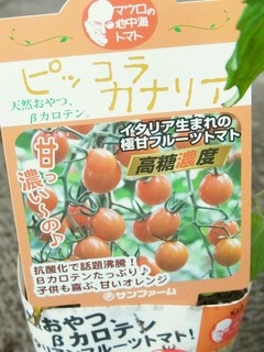 R0049482_�ߥ˥ȥޥ��ĥԥå��饫�ʥꥢ_20120504