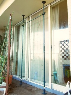 R0049452_�ͤ�ĥ�ꥰ�꡼�󥫡��ƥ�_20120504