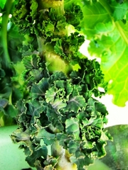 R0022569_�ꥭ��٥�_20100116