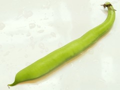 R0049411_����ޥ�_20120503