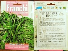 R0028656_エルバステラ種袋_20101113